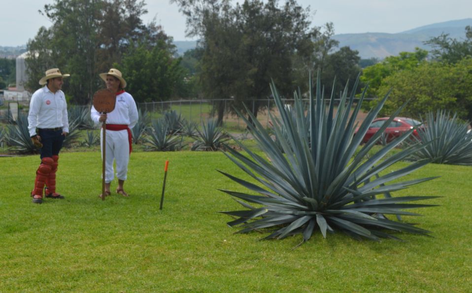 Experiencia tequilera
