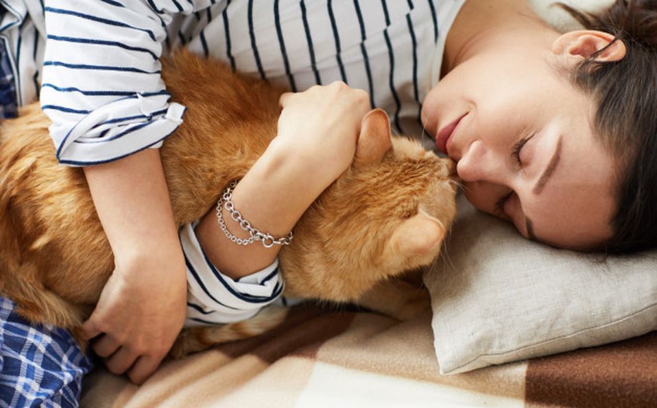 Se tiene la creencia de que los gatos son huraños e indiferentes debido a que no son tan expresivos como los caninos (Especial)