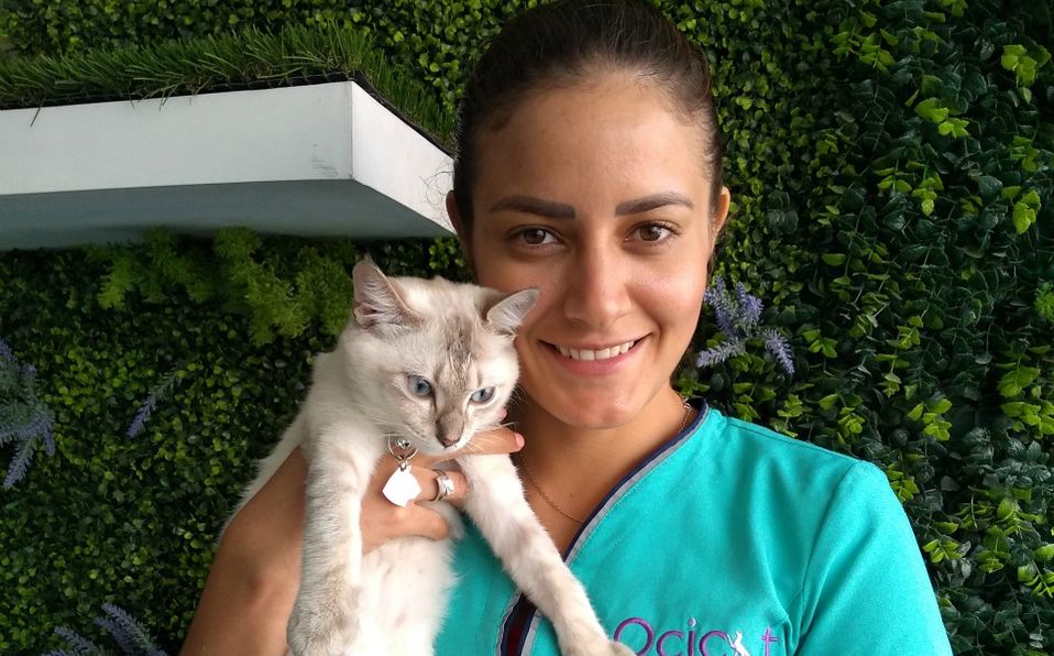 La MVZ Sonia Lomelín de Ocicat Clínica Felina aborda el síndrome del gato-tigre (Cortesia)