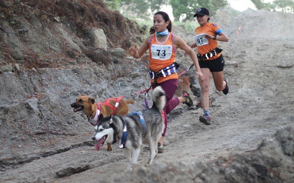 Este deporte cuenta con dos modalidades: el canicross recreativo y de competencia (Cortesia)