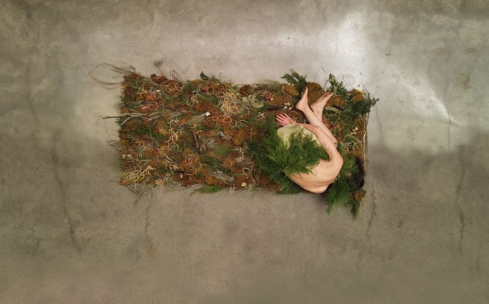 VERDESAPARECER, una video danza de Proyecto al Margen y Karen de Luna Fors (Cortesía)